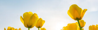 Spring Bank Holiday Opening Hours