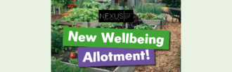 Wellbeing Allotment