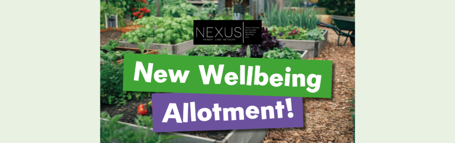 Wellbeing Allotment